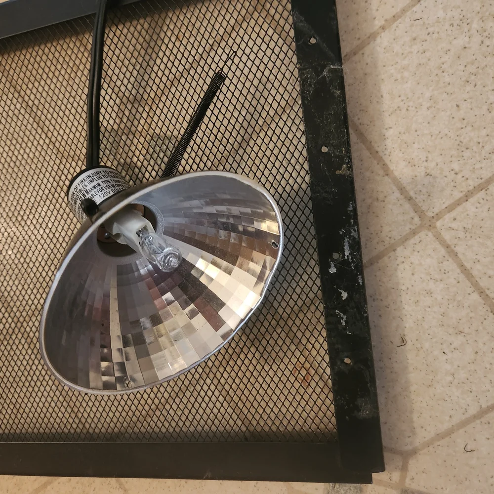 Black Metal Mesh Aquarium Cover With Heat Lamp And Light Good Used Condition